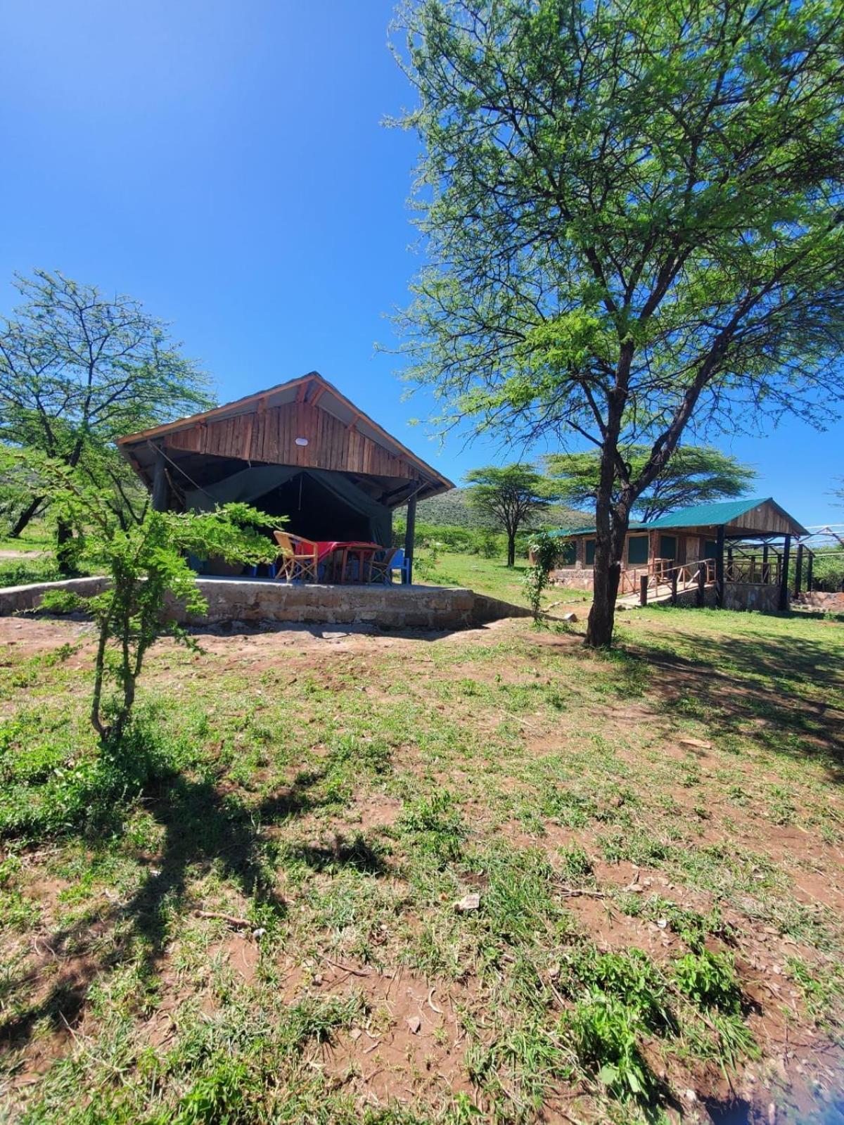 Ilkerin Camp Maasai Mara Bed and Breakfast Sekenani Eksteriør billede